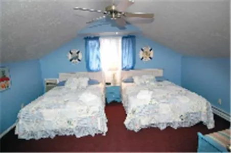 Buffalo Pointe 2* Williams